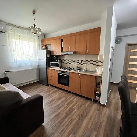 Apartament Andrei Băile Felix 外观 照片