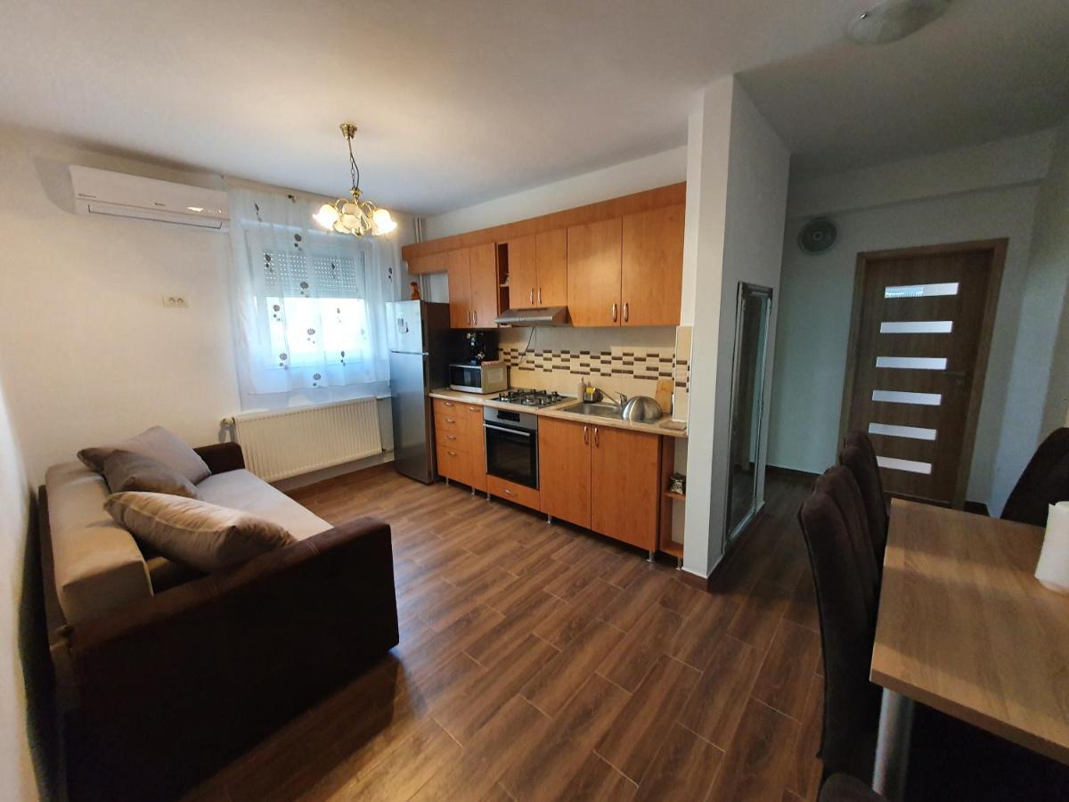 Apartament Andrei Băile Felix 外观 照片