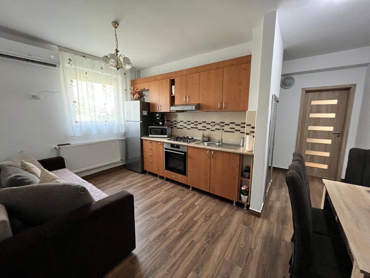 Apartament Andrei Băile Felix 外观 照片